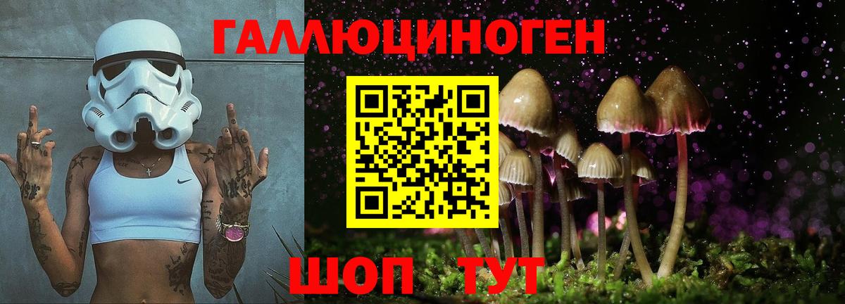 Псилоцибиновые грибы прущие грибы Ангарск