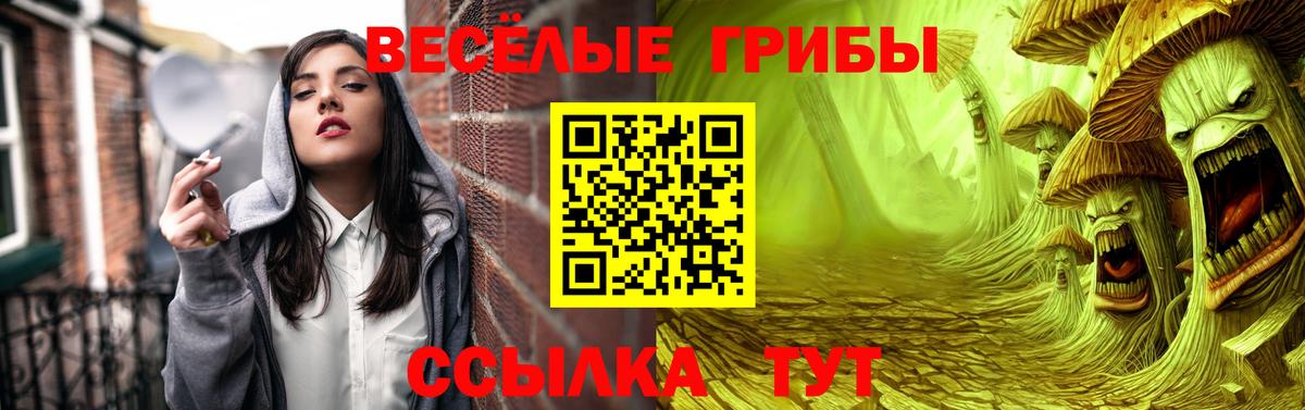 закладки  Вход с VPN  Галлюциногенные грибы прущие грибы  Ангарск  Галлюциногенные грибы Magic Shrooms 
